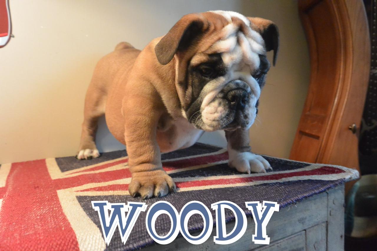 woody2012 023