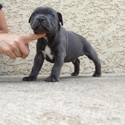 Nini2 003