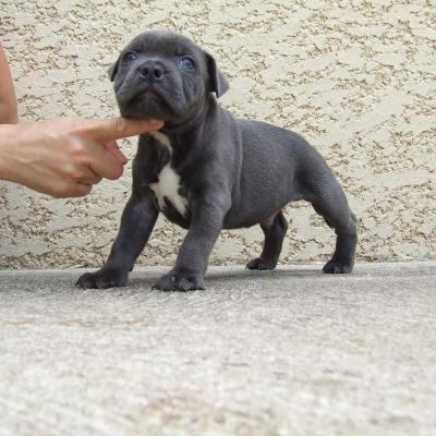 Nini2 004